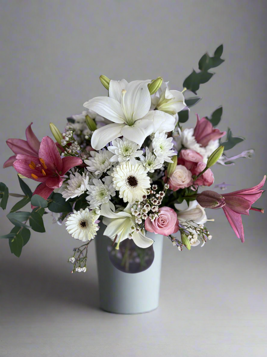 A Soft Sympathy Bunch