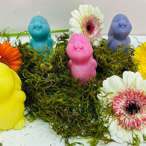 Haasie scented candle.jpg